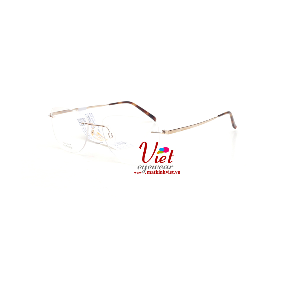 Gọng kính Charmant CH8606E GP